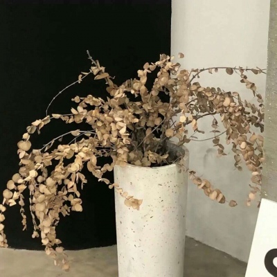 Furry绘画笔刷推荐FurryQQ群